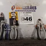 LOTE 046 - 03 ALICATES, SENDO 01 DE BICO 6’’, 01 UNIVERSAL E 01 DE CORTE. (NOVO) (NO ESTADO) ATENÇÃO! FAZER A VISITAÇÃO ANTES DE ARREMATAR, NÃO SABEMOS SE FUNCIONA. LEILÃO NÃO TEM GARANTIA E NEM DEVOLUÇÃO, SUJEITO A POSSÍVEIS AVARIAS VISÍVEIS/OCULTAS E/OU AUSÊNCIA DE COMPONENTES.
