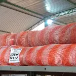 LOTE 075 - 01 LOTE COM TELAS DE PROTEÇÃO PARA OBRA. (NO ESTADO) ATENÇÃO! FAZER A VISITAÇÃO ANTES DE ARREMATAR, NÃO SABEMOS SE FUNCIONA. LEILÃO NÃO TEM GARANTIA E NEM DEVOLUÇÃO, SUJEITO A POSSÍVEIS AVARIAS VISÍVEIS/OCULTAS E/OU AUSÊNCIA DE COMPONENTES.