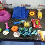 LOTE 146 - 01 KIT DE ACESSÓRIOS PARA PET. (NO ESTADO) ATENÇÃO! FAZER A VISITAÇÃO ANTES DE ARREMATAR, NÃO SABEMOS SE FUNCIONA. LEILÃO NÃO TEM GARANTIA E NEM DEVOLUÇÃO, SUJEITO A POSSÍVEIS AVARIAS VISÍVEIS/OCULTAS E/OU AUSÊNCIA DE COMPONENTES.
