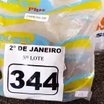 LOTE 344 - 01 CARRETEL PARA ROÇADEIRA STIHL FS-220. (NO ESTADO) ATENÇÃO! FAZER A VISITAÇÃO ANTES DE ARREMATAR, NÃO SABEMOS SE FUNCIONA. LEILÃO NÃO TEM GARANTIA E NEM DEVOLUÇÃO, SUJEITO A POSSÍVEIS AVARIAS VISÍVEIS/OCULTAS E/OU AUSÊNCIA DE COMPONENTES.