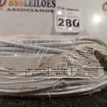LOTE 280 - 01 ROLO DE CABO FLEXÍVEL 100M 1X4,00MM NA COR BRANCA. (NOVO)(NO ESTADO) ATENÇÃO! FAZER A VISITAÇÃO ANTES DE ARREMATAR, NÃO SABEMOS SE FUNCIONA. LEILÃO NÃO TEM GARANTIA E NEM DEVOLUÇÃO, SUJEITO A POSSÍVEIS AVARIAS VISÍVEIS/OCULTAS E/OU AUSÊNCIA DE COMPONENTES.