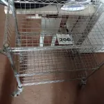 LOTE 206 - 01 CARRINHO PARA TRANSPORTE DE UTENSILIOS COM TRES DIVISOES. (NO ESTADO) ATENÇÃO! FAZER A VISITAÇÃO ANTES DE ARREMATAR, NÃO SABEMOS SE FUNCIONA. LEILÃO NÃO TEM GARANTIA E NEM DEVOLUÇÃO, SUJEITO A POSSÍVEIS AVARIAS VISÍVEIS/OCULTAS E/OU AUSÊNCIA DE COMPONENTES.
