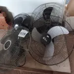 LOTE 535 - 04 VENTILADORES DE PAREDE. (NO ESTADO) ATENÇÃO! FAZER A VISITAÇÃO ANTES DE ARREMATAR, NÃO SABEMOS SE FUNCIONA. LEILÃO NÃO TEM GARANTIA E NEM DEVOLUÇÃO, SUJEITO A POSSÍVEIS AVARIAS VISÍVEIS/OCULTAS E/OU AUSÊNCIA DE COMPONENTES.