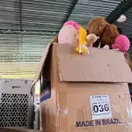 LOTE 036 - 01 LOTE COM BRINQUEDOS DIVERSOS (NO ESTADO, NÃO SABEMOS SE FUNCIONA. LEILÃO NÃO TEM GARANTIA E NEM DEVOLUÇÃO).