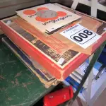 LOTE 008 - 01 LOTE COM DISCOS DE VINIL (NO ESTADO, NÃO SABEMOS SE FUNCIONA. LEILÃO NÃO TEM GARANTIA E NEM DEVOLUÇÃO).