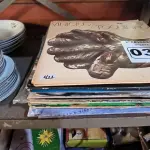 LOTE 033 - 01 LOTE COM DISCOS EM VINIL DIVERSOS (NO ESTADO, NÃO SABEMOS SE FUNCIONA. LEILÃO NÃO TEM GARANTIA E NEM DEVOLUÇÃO).