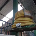 LOTE 159 - 02 ROLOS DE MANGUEIRA CORRUGADA. (NO ESTADO) ATENÇÃO! FAZER A VISITAÇÃO ANTES DE ARREMATAR, NÃO SABEMOS SE FUNCIONA. LEILÃO NÃO TEM GARANTIA E NEM DEVOLUÇÃO, SUJEITO A POSSÍVEIS AVARIAS VISÍVEIS/OCULTAS E/OU AUSÊNCIA DE COMPONENTES.