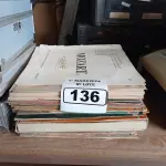 LOTE 136 - 01 LOTE COM VÁRIOS DISCOS DE VINIL. (NO ESTADO) ATENÇÃO! FAZER A VISITAÇÃO ANTES DE ARREMATAR, NÃO SABEMOS SE FUNCIONA. LEILÃO NÃO TEM GARANTIA E NEM DEVOLUÇÃO, SUJEITO A POSSÍVEIS AVARIAS VISÍVEIS/OCULTAS E/OU AUSÊNCIA DE COMPONENTES.