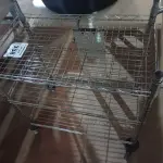 LOTE 338 - 01 CARRINHO PARA TRANSPORTE DE ALIMENTOS. (NO ESTADO) ATENÇÃO! FAZER A VISITAÇÃO ANTES DE ARREMATAR, NÃO SABEMOS SE FUNCIONA. LEILÃO NÃO TEM GARANTIA E NEM DEVOLUÇÃO, SUJEITO A POSSÍVEIS AVARIAS VISÍVEIS/OCULTAS E/OU AUSÊNCIA DE COMPONENTES.