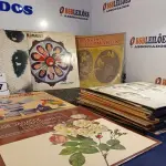 LOTE 307 - 01 LOTE COM VÁRIOS DISCOS DE VINIL. (NO ESTADO) ATENÇÃO! FAZER A VISITAÇÃO ANTES DE ARREMATAR, NÃO SABEMOS SE FUNCIONA. LEILÃO NÃO TEM GARANTIA E NEM DEVOLUÇÃO, SUJEITO A POSSÍVEIS AVARIAS VISÍVEIS/OCULTAS E/OU AUSÊNCIA DE COMPONENTES.