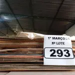 LOTE 293 - 01 LOTE COM VÁRIOS DISCOS DE VINIL. (NO ESTADO) ATENÇÃO! FAZER A VISITAÇÃO ANTES DE ARREMATAR, NÃO SABEMOS SE FUNCIONA. LEILÃO NÃO TEM GARANTIA E NEM DEVOLUÇÃO, SUJEITO A POSSÍVEIS AVARIAS VISÍVEIS/OCULTAS E/OU AUSÊNCIA DE COMPONENTES.