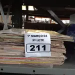 LOTE 211 - 01 LOTE COM VÁRIOS DISCOS DE VINIL. (NO ESTADO) ATENÇÃO! FAZER A VISITAÇÃO ANTES DE ARREMATAR, NÃO SABEMOS SE FUNCIONA. LEILÃO NÃO TEM GARANTIA E NEM DEVOLUÇÃO, SUJEITO A POSSÍVEIS AVARIAS VISÍVEIS/OCULTAS E/OU AUSÊNCIA DE COMPONENTES.