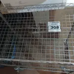 LOTE 308 - 01 CARRINHO PARA TRANSPORTE DE ALIMENTOS. (NO ESTADO) ATENÇÃO! FAZER A VISITAÇÃO ANTES DE ARREMATAR, NÃO SABEMOS SE FUNCIONA. LEILÃO NÃO TEM GARANTIA E NEM DEVOLUÇÃO, SUJEITO A POSSÍVEIS AVARIAS VISÍVEIS/OCULTAS E/OU AUSÊNCIA DE COMPONENTES.