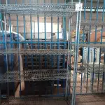 LOTE 381 - 01 CARRINHO E 02 ESTANTES DE FERRO. (NO ESTADO) ATENÇÃO! FAZER A VISITAÇÃO ANTES DE ARREMATAR, NÃO SABEMOS SE FUNCIONA. LEILÃO NÃO TEM GARANTIA E NEM DEVOLUÇÃO, SUJEITO A POSSÍVEIS AVARIAS VISÍVEIS/OCULTAS E/OU AUSÊNCIA DE COMPONENTES.