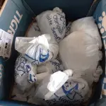 LOTE 496 - 01 CAIXA COM FIBRA DE VIDRO. (NO ESTADO) ATENÇÃO! FAZER A VISITAÇÃO ANTES DE ARREMATAR, NÃO SABEMOS SE FUNCIONA. LEILÃO NÃO TEM GARANTIA E NEM DEVOLUÇÃO, SUJEITO A POSSÍVEIS AVARIAS VISÍVEIS/OCULTAS E/OU AUSÊNCIA DE COMPONENTES.