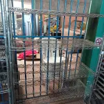 LOTE 381 - 01 CARRINHO E 02 ESTANTES DE FERRO. (NO ESTADO) ATENÇÃO! FAZER A VISITAÇÃO ANTES DE ARREMATAR, NÃO SABEMOS SE FUNCIONA. LEILÃO NÃO TEM GARANTIA E NEM DEVOLUÇÃO, SUJEITO A POSSÍVEIS AVARIAS VISÍVEIS/OCULTAS E/OU AUSÊNCIA DE COMPONENTES.