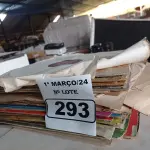 LOTE 293 - 01 LOTE COM VÁRIOS DISCOS DE VINIL. (NO ESTADO) ATENÇÃO! FAZER A VISITAÇÃO ANTES DE ARREMATAR, NÃO SABEMOS SE FUNCIONA. LEILÃO NÃO TEM GARANTIA E NEM DEVOLUÇÃO, SUJEITO A POSSÍVEIS AVARIAS VISÍVEIS/OCULTAS E/OU AUSÊNCIA DE COMPONENTES.