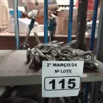 LOTE 115 - 12 GANCHOS EM AÇO INOX. (NO ESTADO) ATENÇÃO! FAZER A VISITAÇÃO ANTES DE ARREMATAR, NÃO SABEMOS SE FUNCIONA. LEILÃO NÃO TEM GARANTIA E NEM DEVOLUÇÃO, SUJEITO A POSSÍVEIS AVARIAS VISÍVEIS/OCULTAS E/OU AUSÊNCIA DE COMPONENTES.