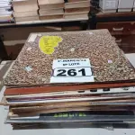 LOTE 261 - 01 LOTE COM VÁRIOS DISCOS DE VINIL. (NO ESTADO) ATENÇÃO! FAZER A VISITAÇÃO ANTES DE ARREMATAR, NÃO SABEMOS SE FUNCIONA. LEILÃO NÃO TEM GARANTIA E NEM DEVOLUÇÃO, SUJEITO A POSSÍVEIS AVARIAS VISÍVEIS/OCULTAS E/OU AUSÊNCIA DE COMPONENTES.