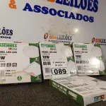 LOTE 089 - 04 LUMINÁRIAS DE LED SOBREPOR QUADRADA 18W 65000K TASHIBRA. (NO ESTADO) ATENÇÃO! FAZER A VISITAÇÃO ANTES DE ARREMATAR, NÃO SABEMOS SE FUNCIONA. LEILÃO NÃO TEM GARANTIA E NEM DEVOLUÇÃO, SUJEITO A POSSÍVEIS AVARIAS VISÍVEIS/OCULTAS E/OU AUSÊNCIA DE COMPONENTES.