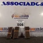 LOTE 508 - 24 MEMORIAS PARA SERVIDOR. (NO ESTADO) ATENÇÃO! FAZER A VISITAÇÃO ANTES DE ARREMATAR, NÃO SABEMOS SE FUNCIONA. LEILÃO NÃO TEM GARANTIA E NEM DEVOLUÇÃO, SUJEITO A POSSÍVEIS AVARIAS VISÍVEIS/OCULTAS E/OU AUSÊNCIA DE COMPONENTES.