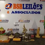 LOTE 077 - 01 LOTE COM ENFEITES DIVERSOS. (NO ESTADO) ATENÇÃO! FAZER A VISITAÇÃO ANTES DE ARREMATAR, NÃO SABEMOS SE FUNCIONA. LEILÃO NÃO TEM GARANTIA E NEM DEVOLUÇÃO, SUJEITO A POSSÍVEIS AVARIAS VISÍVEIS/OCULTAS E/OU AUSÊNCIA DE COMPONENTES.