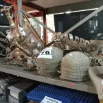LOTE 176 - 03 LUSTRES EM METAL. (NO ESTADO) ATENÇÃO! FAZER A VISITAÇÃO ANTES DE ARREMATAR, NÃO SABEMOS SE FUNCIONA. LEILÃO NÃO TEM GARANTIA E NEM DEVOLUÇÃO, SUJEITO A POSSÍVEIS AVARIAS VISÍVEIS/OCULTAS E/OU AUSÊNCIA DE COMPONENTES.