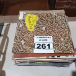 LOTE 261 - 01 LOTE COM VÁRIOS DISCOS DE VINIL. (NO ESTADO) ATENÇÃO! FAZER A VISITAÇÃO ANTES DE ARREMATAR, NÃO SABEMOS SE FUNCIONA. LEILÃO NÃO TEM GARANTIA E NEM DEVOLUÇÃO, SUJEITO A POSSÍVEIS AVARIAS VISÍVEIS/OCULTAS E/OU AUSÊNCIA DE COMPONENTES.
