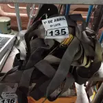 LOTE 135 - 05 CINTOS DE SEGURANÇA NO TRABALHO. (NO ESTADO) ATENÇÃO! FAZER A VISITAÇÃO ANTES DE ARREMATAR, NÃO SABEMOS SE FUNCIONA. LEILÃO NÃO TEM GARANTIA E NEM DEVOLUÇÃO, SUJEITO A POSSÍVEIS AVARIAS VISÍVEIS/OCULTAS E/OU AUSÊNCIA DE COMPONENTES.