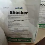 LOTE 168 - 15KG DE FUNGICIDA MICROBIOLÓGICO AGRIVALLE SHOCKER. (NO ESTADO) ATENÇÃO! FAZER A VISITAÇÃO ANTES DE ARREMATAR, NÃO SABEMOS SE FUNCIONA. LEILÃO NÃO TEM GARANTIA E NEM DEVOLUÇÃO, SUJEITO A POSSÍVEIS AVARIAS VISÍVEIS/OCULTAS E/OU AUSÊNCIA DE COMPONENTES.