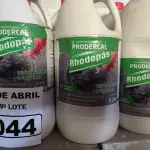 LOTE 044 - 08 GALÕES DE RHODOPAS 3,2KG. (NO ESTADO) ATENÇÃO! FAZER A VISITAÇÃO ANTES DE ARREMATAR, NÃO SABEMOS SE FUNCIONA. LEILÃO NÃO TEM GARANTIA E NEM DEVOLUÇÃO, SUJEITO A POSSÍVEIS AVARIAS VISÍVEIS/OCULTAS E/OU AUSÊNCIA DE COMPONENTES.