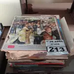 LOTE 213 - 01 LOTE COM VÁRIOS DISCOS DE VINIL. (NO ESTADO) ATENÇÃO! FAZER A VISITAÇÃO ANTES DE ARREMATAR, NÃO SABEMOS SE FUNCIONA. LEILÃO NÃO TEM GARANTIA E NEM DEVOLUÇÃO, SUJEITO A POSSÍVEIS AVARIAS VISÍVEIS/OCULTAS E/OU AUSÊNCIA DE COMPONENTES.
