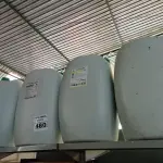 LOTE 480 - 04 BOMBONAS DE 50L. (NO ESTADO) ATENÇÃO! FAZER A VISITAÇÃO ANTES DE ARREMATAR, NÃO SABEMOS SE FUNCIONA. LEILÃO NÃO TEM GARANTIA E NEM DEVOLUÇÃO, SUJEITO A POSSÍVEIS AVARIAS VISÍVEIS/OCULTAS E/OU AUSÊNCIA DE COMPONENTES.