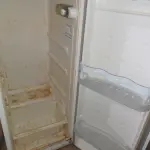 LOTE 417 - 01 GELADEIRA MARCA CÔNSUL 220V. (NO ESTADO) ATENÇÃO! FAZER A VISITAÇÃO ANTES DE ARREMATAR, NÃO SABEMOS SE FUNCIONA. LEILÃO NÃO TEM GARANTIA E NEM DEVOLUÇÃO, SUJEITO A POSSÍVEIS AVARIAS VISÍVEIS/OCULTAS E/OU AUSÊNCIA DE COMPONENTES.