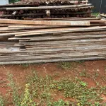 LOTE 535 - 01 LOTE COM APROXIMADAMENTE 99 TÁBUAS PARA OBRA (NO ESTADO) (RETIRADA NA SMPW QUADRA 14 CONJUNTO 5 LOTE 3)