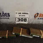 LOTE 308 - 01 LOTE COM VÁRIAS MEMORIAS MARCAS E MODELOS DIVERSOS. (NO ESTADO) ATENÇÃO! FAZER A VISITAÇÃO ANTES DE ARREMATAR, NÃO SABEMOS SE FUNCIONA. LEILÃO NÃO TEM GARANTIA E NEM DEVOLUÇÃO, SUJEITO A POSSÍVEIS AVARIAS VISÍVEIS/OCULTAS E/OU AUSÊNCIA DE COMPONENTES.