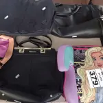 LOTE 379 - 06 BOLSAS E 01 ENCOSTO PARA CARRO INFANTIL. (NO ESTADO) ATENÇÃO! FAZER A VISITAÇÃO ANTES DE ARREMATAR, NÃO SABEMOS SE FUNCIONA. LEILÃO NÃO TEM GARANTIA E NEM DEVOLUÇÃO, SUJEITO A POSSÍVEIS AVARIAS VISÍVEIS/OCULTAS E/OU AUSÊNCIA DE COMPONENTES.