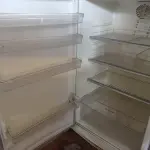 LOTE 352 - 01 GELADEIRA MARCA CONTINENTAL 220. (NO ESTADO) ATENÇÃO! FAZER A VISITAÇÃO ANTES DE ARREMATAR, NÃO SABEMOS SE FUNCIONA. LEILÃO NÃO TEM GARANTIA E NEM DEVOLUÇÃO, SUJEITO A POSSÍVEIS AVARIAS VISÍVEIS/OCULTAS E/OU AUSÊNCIA DE COMPONENTES.