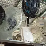 LOTE 095 - 08 VENTILADORES MARCAS E MODELOS DIVERSOS. (NO ESTADO) ATENÇÃO! FAZER A VISITAÇÃO ANTES DE ARREMATAR, NÃO SABEMOS SE FUNCIONA. LEILÃO NÃO TEM GARANTIA E NEM DEVOLUÇÃO, SUJEITO A POSSÍVEIS AVARIAS VISÍVEIS/OCULTAS E/OU AUSÊNCIA DE COMPONENTES.