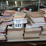 LOTE 137 - 01 LOTE COM LIVROS DIVERSOS. (NO ESTADO) ATENÇÃO! FAZER A VISITAÇÃO ANTES DE ARREMATAR, NÃO SABEMOS SE FUNCIONA. LEILÃO NÃO TEM GARANTIA E NEM DEVOLUÇÃO, SUJEITO A POSSÍVEIS AVARIAS VISÍVEIS/OCULTAS E/OU AUSÊNCIA DE COMPONENTES.