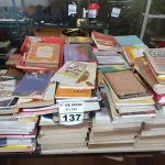 LOTE 137 - 01 LOTE COM LIVROS DIVERSOS. (NO ESTADO) ATENÇÃO! FAZER A VISITAÇÃO ANTES DE ARREMATAR, NÃO SABEMOS SE FUNCIONA. LEILÃO NÃO TEM GARANTIA E NEM DEVOLUÇÃO, SUJEITO A POSSÍVEIS AVARIAS VISÍVEIS/OCULTAS E/OU AUSÊNCIA DE COMPONENTES.