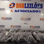 LOTE 111 - 01 LOTE COM GRANDE QUANTIDADE DE ADAPTADORES 10AMP 2P+T. (NO ESTADO) ATENÇÃO! FAZER A VISITAÇÃO ANTES DE ARREMATAR, NÃO SABEMOS SE FUNCIONA. LEILÃO NÃO TEM GARANTIA E NEM DEVOLUÇÃO, SUJEITO A POSSÍVEIS AVARIAS VISÍVEIS/OCULTAS E/OU AUSÊNCIA DE COMPONENTES.