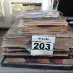 LOTE 203 - 01 LOTE COM VÁRIOS DISCOS DE VINIL. (NO ESTADO) ATENÇÃO! FAZER A VISITAÇÃO ANTES DE ARREMATAR, NÃO SABEMOS SE FUNCIONA. LEILÃO NÃO TEM GARANTIA E NEM DEVOLUÇÃO, SUJEITO A POSSÍVEIS AVARIAS VISÍVEIS/OCULTAS E/OU AUSÊNCIA DE COMPONENTES.