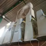 LOTE 093 - 06 VENTILADORES. (NO ESTADO) ATENÇÃO! FAZER A VISITAÇÃO ANTES DE ARREMATAR, NÃO SABEMOS SE FUNCIONA. LEILÃO NÃO TEM GARANTIA E NEM DEVOLUÇÃO, SUJEITO A POSSÍVEIS AVARIAS VISÍVEIS/OCULTAS E/OU AUSÊNCIA DE COMPONENTES.