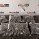LOTE 111 - 01 LOTE COM GRANDE QUANTIDADE DE ADAPTADORES 10AMP 2P+T. (NO ESTADO) ATENÇÃO! FAZER A VISITAÇÃO ANTES DE ARREMATAR, NÃO SABEMOS SE FUNCIONA. LEILÃO NÃO TEM GARANTIA E NEM DEVOLUÇÃO, SUJEITO A POSSÍVEIS AVARIAS VISÍVEIS/OCULTAS E/OU AUSÊNCIA DE COMPONENTES.