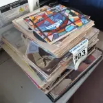 LOTE 203 - 01 LOTE COM VÁRIOS DISCOS DE VINIL. (NO ESTADO) ATENÇÃO! FAZER A VISITAÇÃO ANTES DE ARREMATAR, NÃO SABEMOS SE FUNCIONA. LEILÃO NÃO TEM GARANTIA E NEM DEVOLUÇÃO, SUJEITO A POSSÍVEIS AVARIAS VISÍVEIS/OCULTAS E/OU AUSÊNCIA DE COMPONENTES.