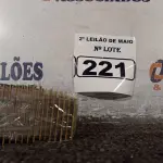 LOTE 221 - 01 LOTE COM VÁRIOS PROCESSADORES MARCAS E MODELOS DIVERSOS. (NO ESTADO) ATENÇÃO! FAZER A VISITAÇÃO ANTES DE ARREMATAR, NÃO SABEMOS SE FUNCIONA. LEILÃO NÃO TEM GARANTIA E NEM DEVOLUÇÃO, SUJEITO A POSSÍVEIS AVARIAS VISÍVEIS/OCULTAS E/OU AUSÊNCIA DE COMPONENTES.