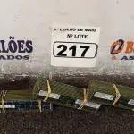 LOTE 217 - 01 LOTE COM VÁRIAS MEMORIAS PARA PC MARCAS E MODELOS DIVERSOS. (NO ESTADO) ATENÇÃO! FAZER A VISITAÇÃO ANTES DE ARREMATAR, NÃO SABEMOS SE FUNCIONA. LEILÃO NÃO TEM GARANTIA E NEM DEVOLUÇÃO, SUJEITO A POSSÍVEIS AVARIAS VISÍVEIS/OCULTAS E/OU AUSÊNCIA DE COMPONENTES.