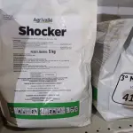 LOTE 416 - 03 PACOTES DE FUNGICIDAS DE 5KG CADA AGRIVALLE SHOCKER. (NO ESTADO) ATENÇÃO! FAZER A VISITAÇÃO ANTES DE ARREMATAR, NÃO SABEMOS SE FUNCIONA. LEILÃO NÃO TEM GARANTIA E NEM DEVOLUÇÃO, SUJEITO A POSSÍVEIS AVARIAS VISÍVEIS/OCULTAS E/OU AUSÊNCIA DE COMPONENTES.