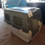 LOTE 488 - 01 CAIXA DE TRANSPORTE PARA PET. (NO ESTADO) ATENÇÃO! FAZER A VISITAÇÃO ANTES DE ARREMATAR, NÃO SABEMOS SE FUNCIONA. LEILÃO NÃO TEM GARANTIA E NEM DEVOLUÇÃO, SUJEITO A POSSÍVEIS AVARIAS VISÍVEIS/OCULTAS E/OU AUSÊNCIA DE COMPONENTES.